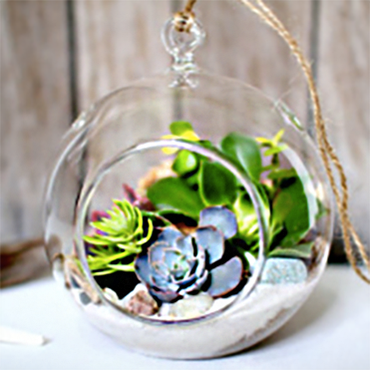 Terrarium Building Workshop with Succulents