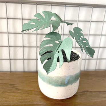 DIY Sustainable Paper Plants